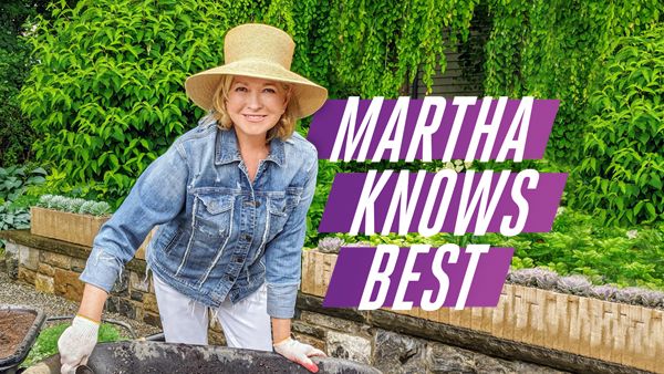 MARTHA KNOWS BEST